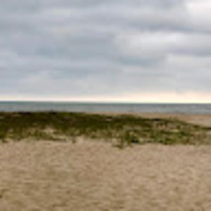 Meet your Posher, No hat pat